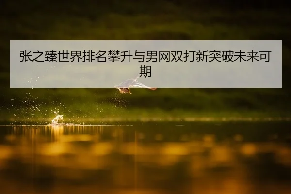张之臻世界排名攀升与男网双打新突破未来可期